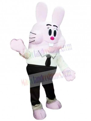 Easter Bunny Rabbit mascot costume