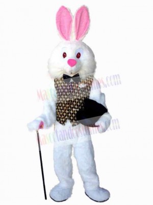 Easter Bunny Rabbit mascot costume