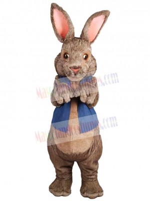 Bunny Rabbit in Blue Vest Mascot Costume Animal