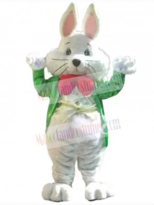 Easter Bunny Rabbit mascot costume