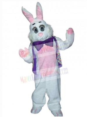 Easter Bunny Rabbit mascot costume