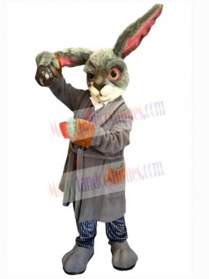 Easter Bunny Rabbit mascot costume