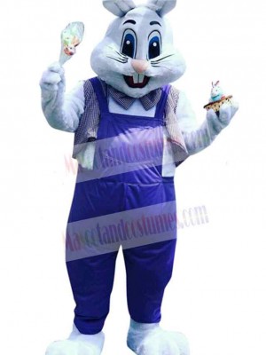 Easter Bunny Rabbit mascot costume