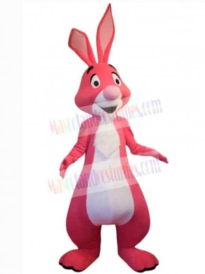 Easter Bunny Rabbit mascot costume