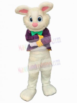 Easter Bunny Boy Mascot Costume Animal