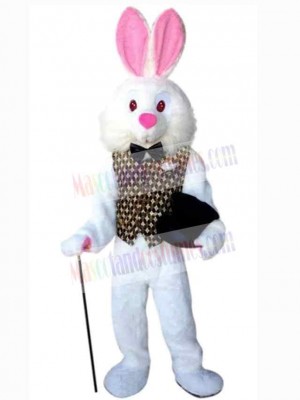 Easter Bunny Rabbit mascot costume