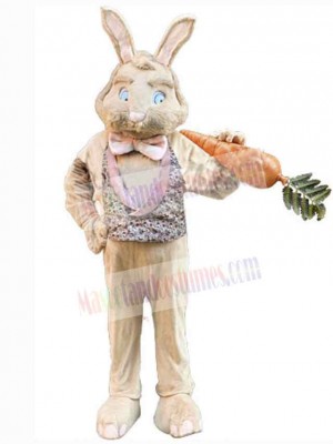 Bunny Rabbit with Pink Bowknot Mascot Costume Animal