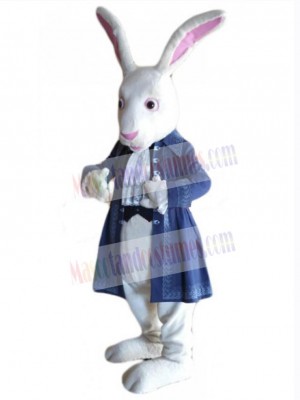 Lovely White Rabbit Mascot Costume Animal