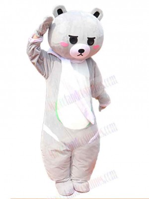 Friendly Bear Mascot Costume For Adults Mascot Heads