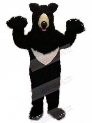 Plush Black Bear Mascot Costume For Adults Mascot Heads