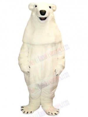Strong Polar Bear Mascot Costume For Adults Mascot Heads