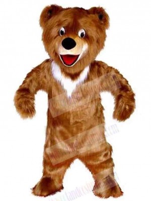 Bear mascot costume