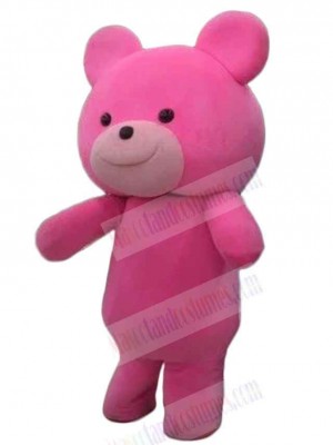 Bear mascot costume