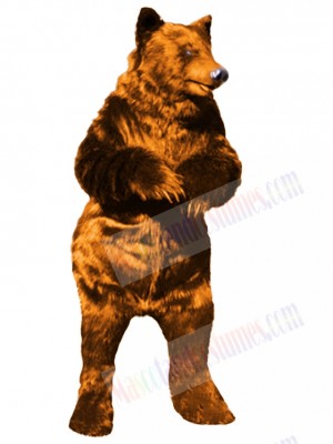 Bear mascot costume