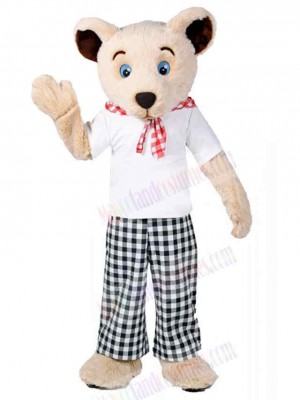 Bear mascot costume