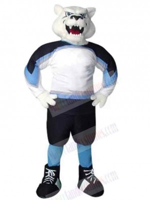 Bear mascot costume