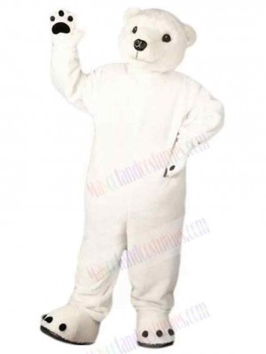 Bear mascot costume