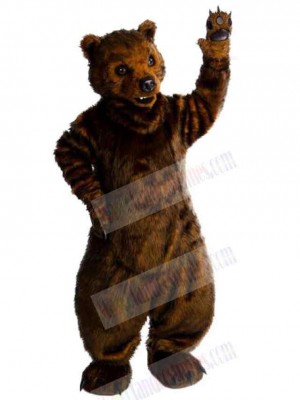 Feral Bear Mascot Costume For Adults Mascot Heads