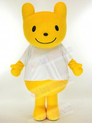 Bear mascot costume