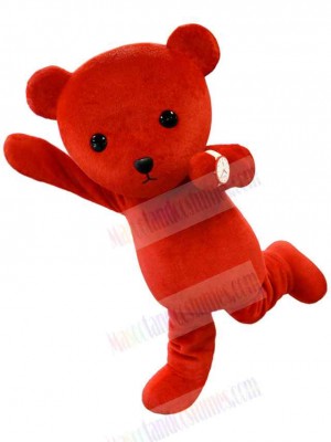 Bear mascot costume