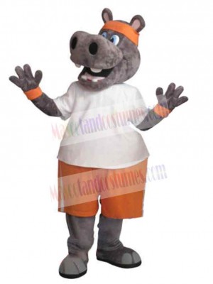 Hippo mascot costume