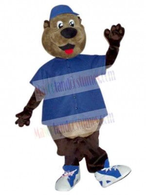 Bear mascot costume