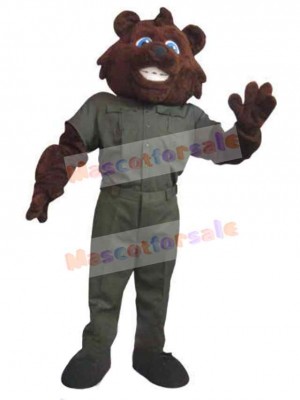 Bear Adult Mascot Costume Animal
