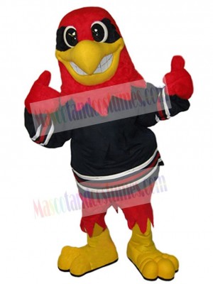 Hawk mascot costume