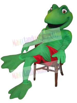 Casual Frog Mascot Costume Animal