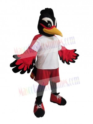 Roadrunner Bird mascot costume