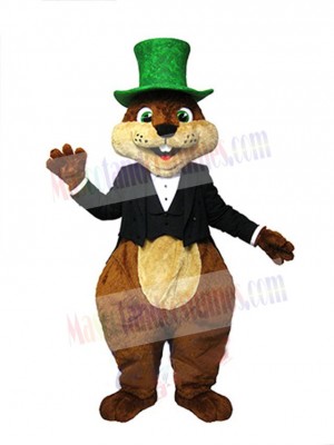 Gentle Squirrel Mascot Costume Animal