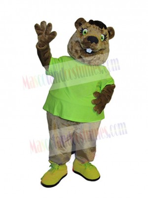 Beaver mascot costume