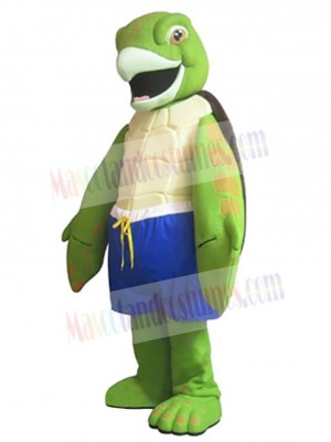 Turtle mascot costume