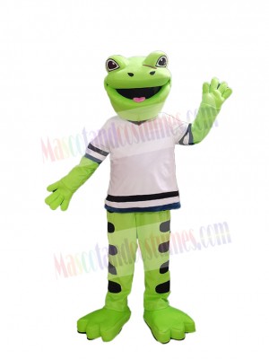 Frog mascot costume