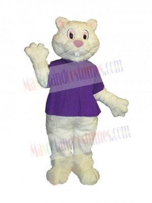 Groundhog mascot costume