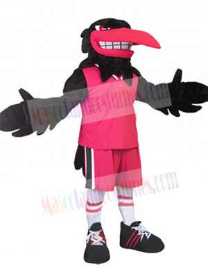 Raven mascot costume