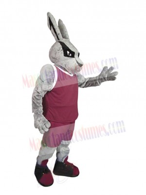 Easter Bunny Rabbit mascot costume