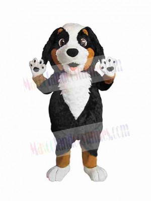 Cute Male Dog Mascot Costume Animal