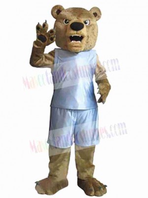 Bear mascot costume