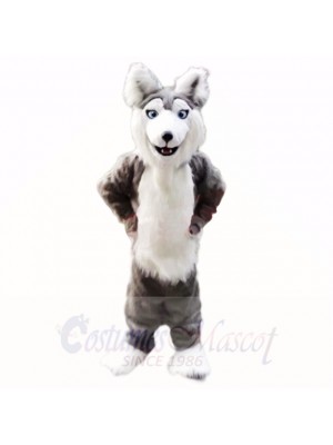 Gray Husky Dog Mascot Costumes Cartoon