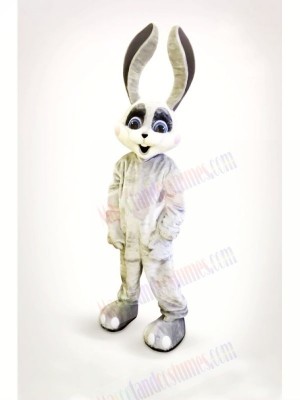 Smiling Bunny with Long Ears Mascot Costumes Cartoon