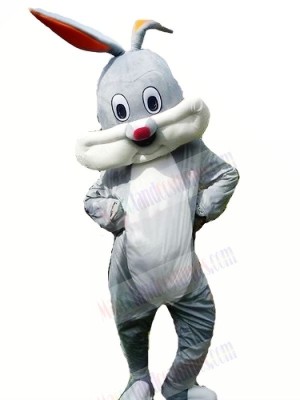 Happy Grey Rabbit Bunny Mascot Costumes Cheap	