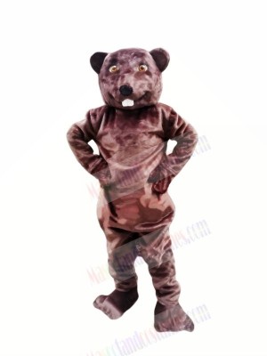 Happy Beaver Mascot Costumes Adult 