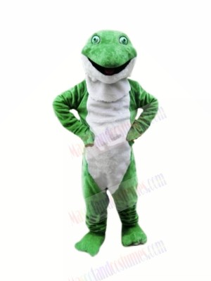 Plush Green Frog Mascot Costumes Cartoon