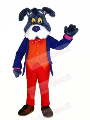 Old Blue Dog Mascot Costumes Cartoon	