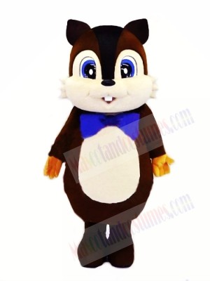 High Quality Furry Squirrel Mascot Costumes
