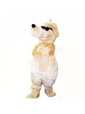 Smiling Sunglasses Dog Mascot Costumes Cartoon