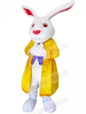 Rabbit with Yellow Jacket Mascot Costumes Animal