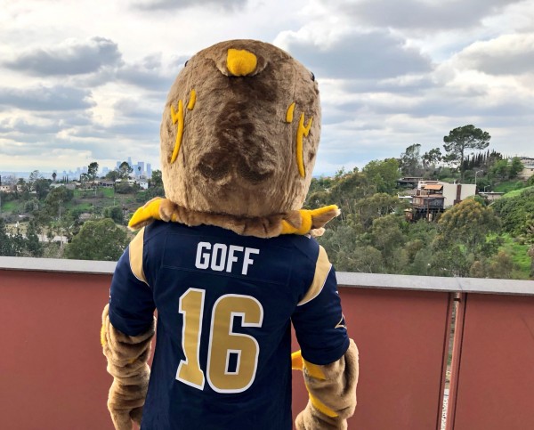 Eagle mascot costume