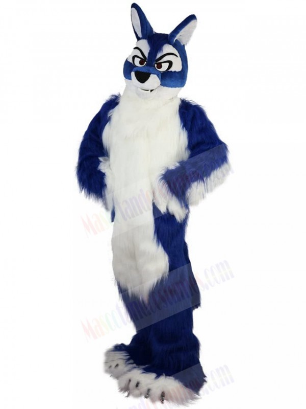 Wolf mascot costume